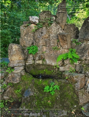 Felsenbrunnen an der ehemaligen Waldesruh