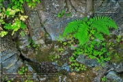 Felsenbrunnen an der ehem. Waldesruh