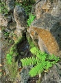 Felsenbrunnen an der ehem. Waldesruh