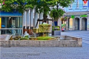 Brunnen am Dominikanerplatz