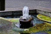 Brunnen am Dominikanerplatz