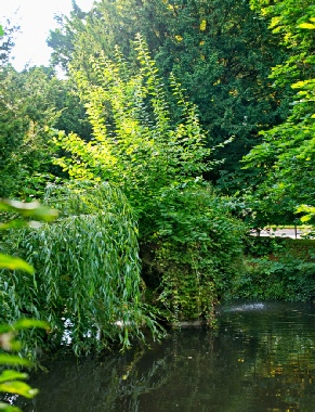 Spiegelsee mit Felseninsel und Fontaene