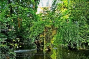 Spiegelsee mit Felseninsel und Fontaene