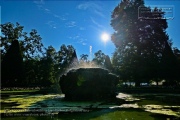 Felsenbrunnen im suedl. Hofgarten der Residenz