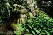 Schoenbornbrunnen im Klein Nizza