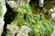 Schoenbornbrunnen im Klein Nizza