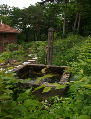 Brunnenbecken im Bürgerbräu