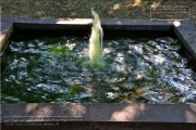 Brunnen an der Loewenbruecke