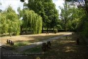 Kriegergraeberfriedhof, Abteilung 9 des Hauptfriedhofs