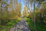 Gruenanlage oberhalb der Maurmeierstrasse