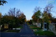 Hauptfriedhof in spaetherbstlichen Farben