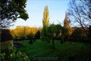 Hauptfriedhof in spaetherbstlichen Farben