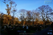 Hauptfriedhof in spaetherbstlichen Farben