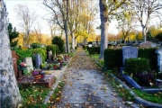 Hauptfriedhof in spaetherbstlichen Farben