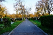 Hauptfriedhof in spaetherbstlichen Farben