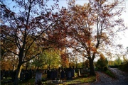 Hauptfriedhof in spaetherbstlichen Farben