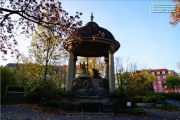 Hauptfriedhof in spaetherbstlichen Farben