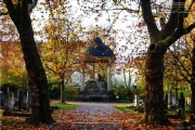 Hauptfriedhof in spaetherbstlichen Farben