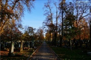 Hauptfriedhof in spaetherbstlichen Farben