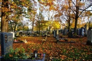 Hauptfriedhof in spaetherbstlichen Farben