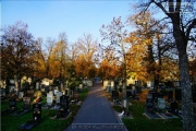 Hauptfriedhof in spaetherbstlichen Farben