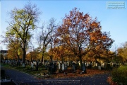 Hauptfriedhof in spaetherbstlichen Farben