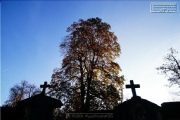 Hauptfriedhof in spaetherbstlichen Farben