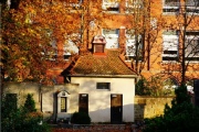 Hauptfriedhof in spaetherbstlichen Farben