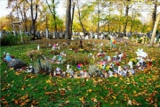 Hauptfriedhof in spaetherbstlichen Farben