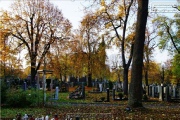 Hauptfriedhof in spaetherbstlichen Farben