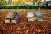 Hauptfriedhof in spaetherbstlichen Farben