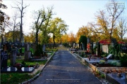 Hauptfriedhof in spaetherbstlichen Farben