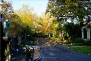 Hauptfriedhof in spaetherbstlichen Farben