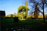 Hauptfriedhof in spaetherbstlichen Farben