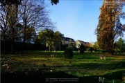 Hauptfriedhof in spaetherbstlichen Farben