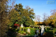 Hauptfriedhof in spaetherbstlichen Farben