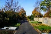 Hauptfriedhof in spaetherbstlichen Farben