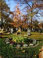 Hauptfriedhof in spaetherbstlichen Farben