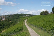 Innere Leiste und Schlossberg