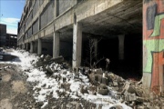 Packard Automotive Plant, provided by an American photographer