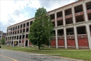 Packard Automotive Plant, provided by an American photographer