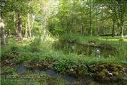 Waldfriedhof