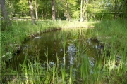 Waldfriedhof