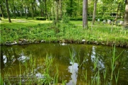 Waldfriedhof