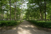 Waldfriedhof