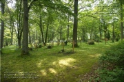 Waldfriedhof