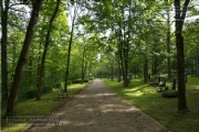 Waldfriedhof