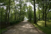 Waldfriedhof