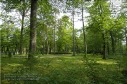 Waldfriedhof